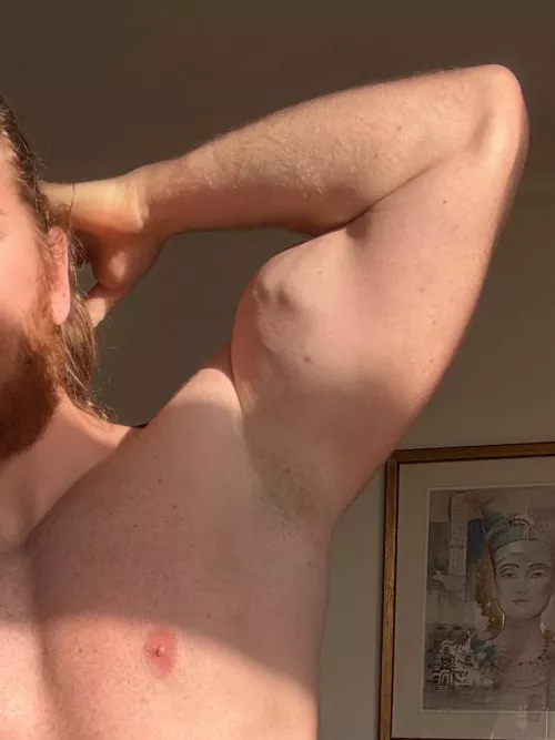 Inhale the scent of a Nordic God! by Bearded_alpha1