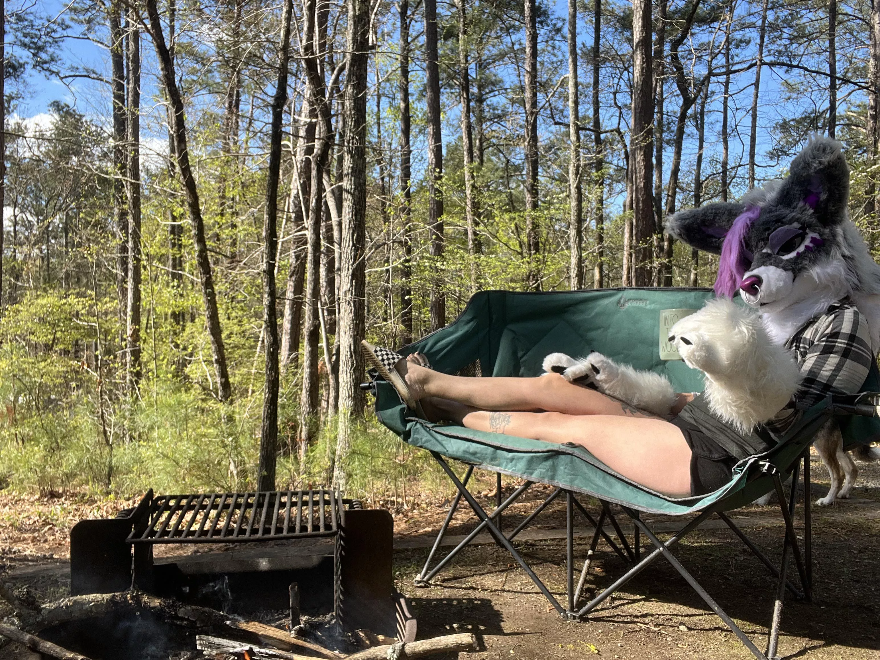 Join me by the fire? posted by Rayne_Rot