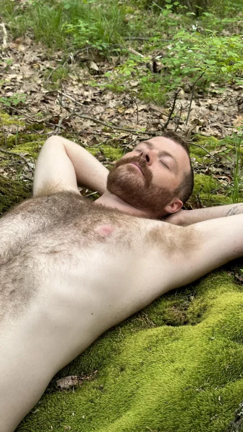 Mossy nap 💤  by back2natureboys