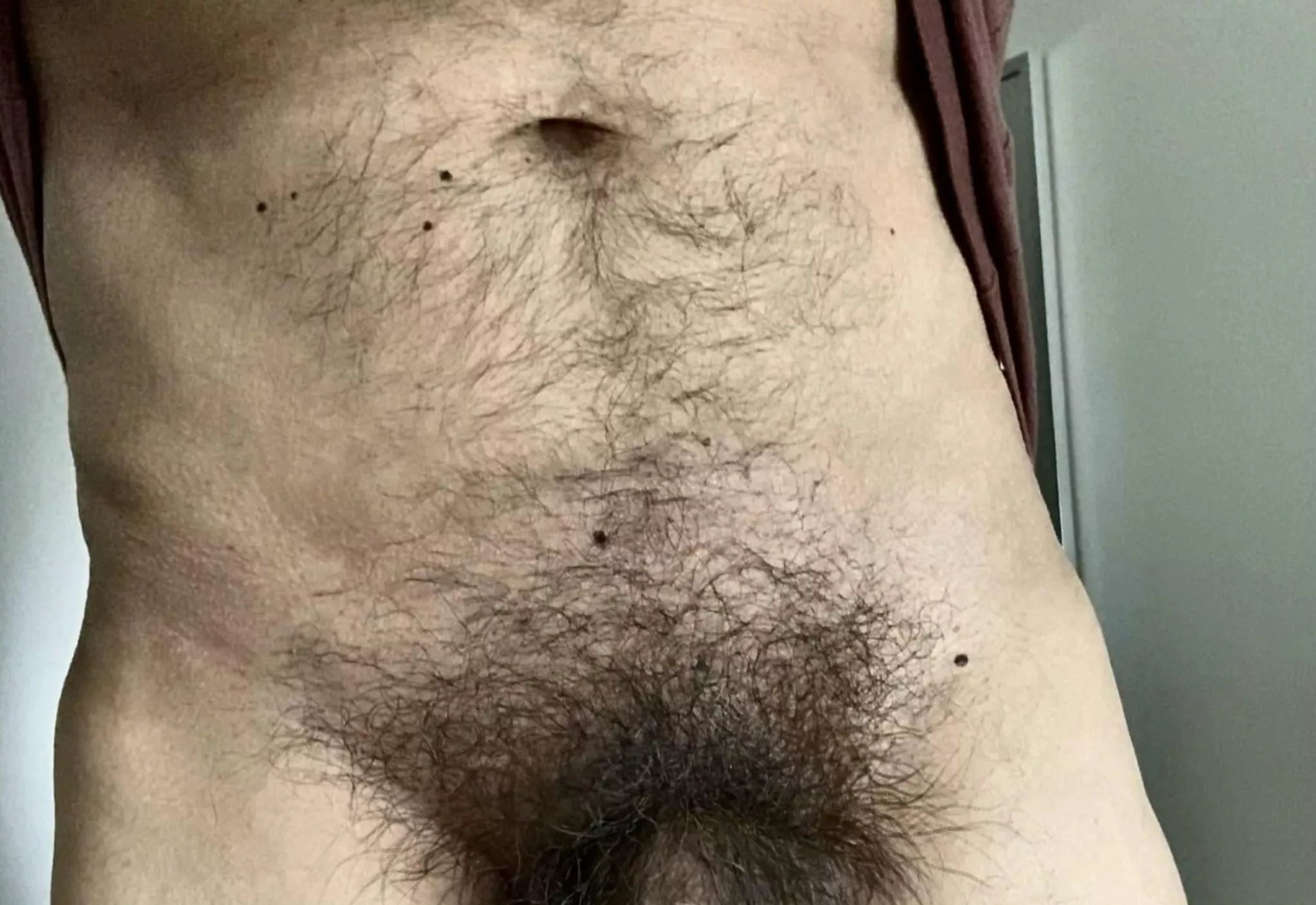 My bush! posted by TxSxMx08