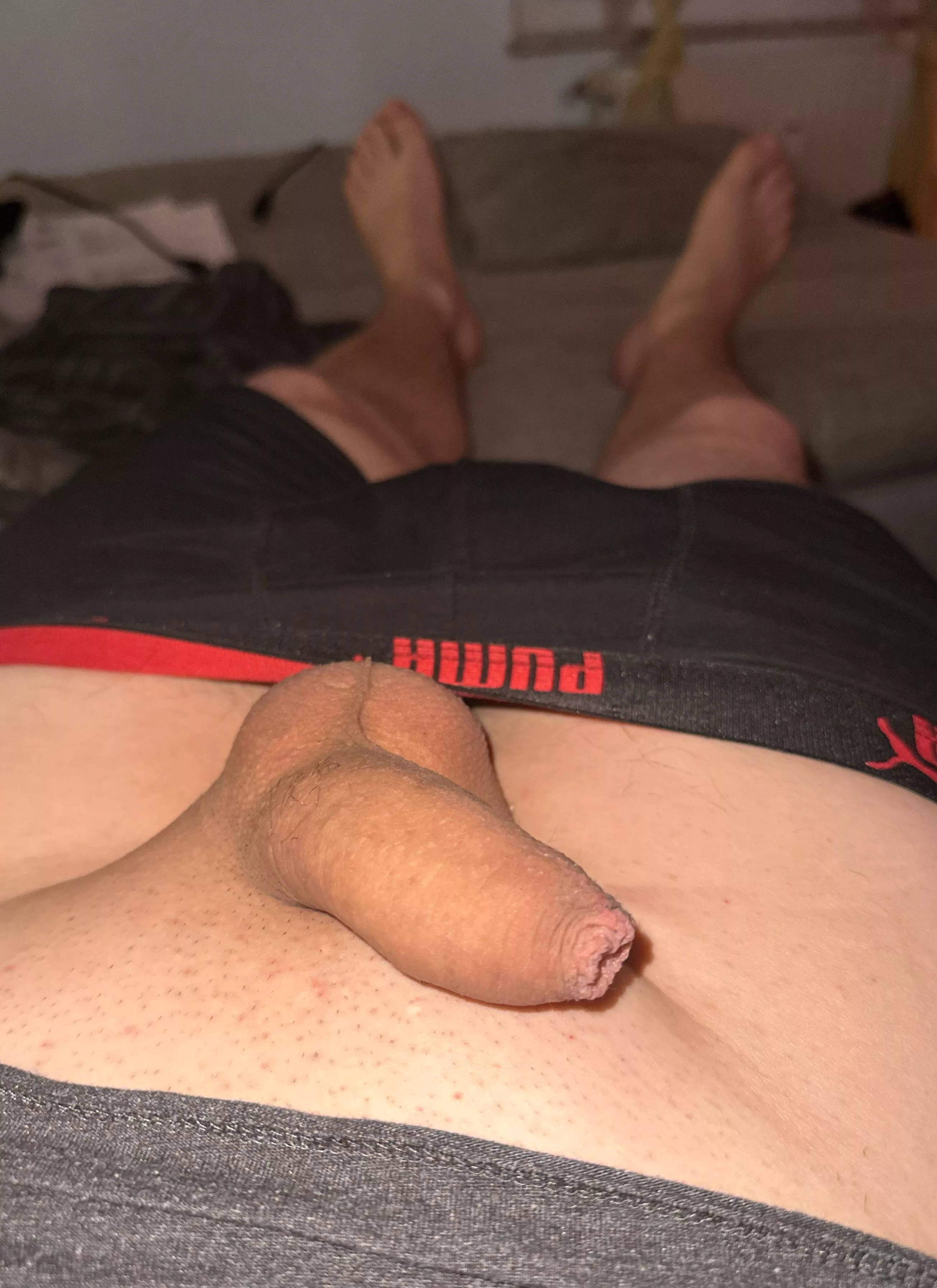 My soft cock posted by Renordic