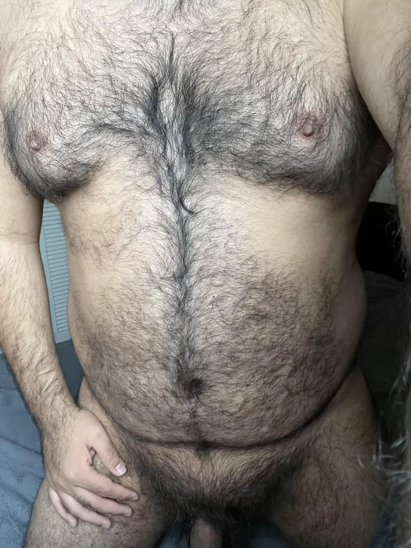 New bear from MX. by juanjota