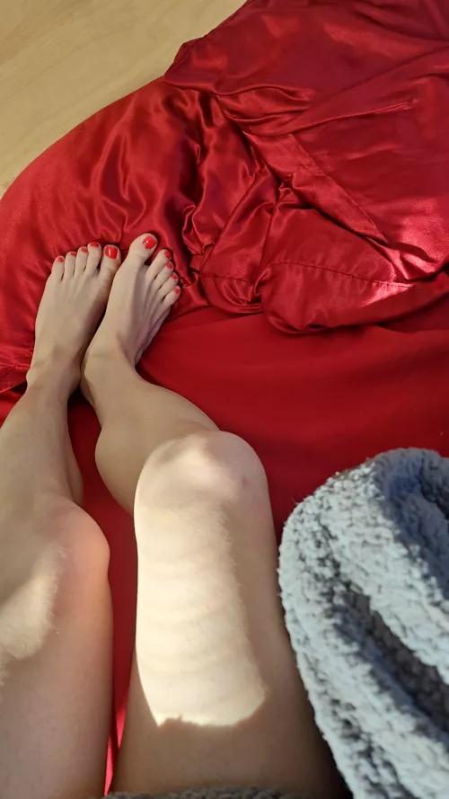 Red on red ❤️ by veronia379