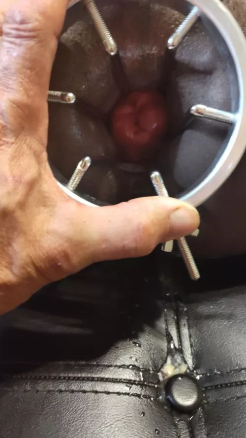 Rose by Apprehensive_bacon