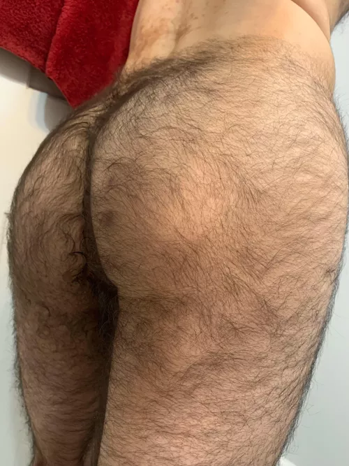 Should I trim my ass a little or just keep it?  by Prestigious_Sky_5043
