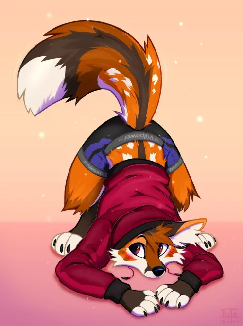 Silly Fox <3 [KitaKettu] by DL2828