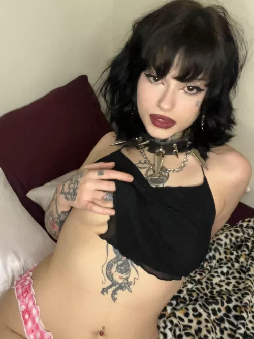 Where should I sit first? by Mantasticles