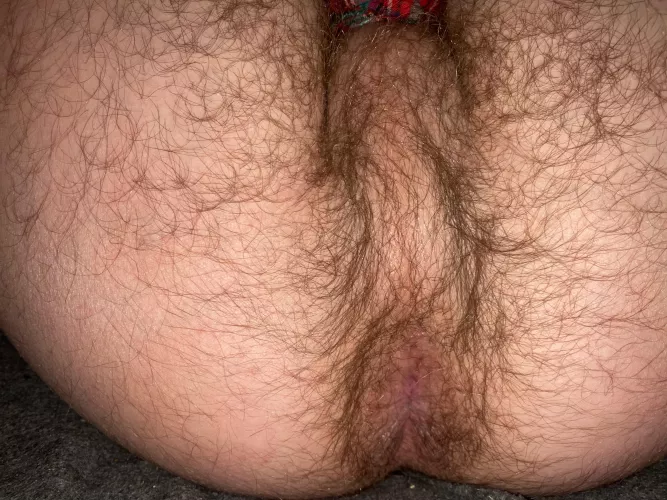 Who’s gonna eat my fuzzy hole😛 by adrian_aloneto