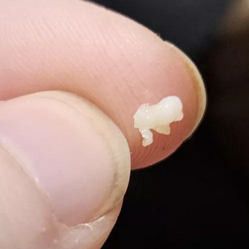 Woah mama I finally got this sucker out after several months by ATF_killed_my_dog