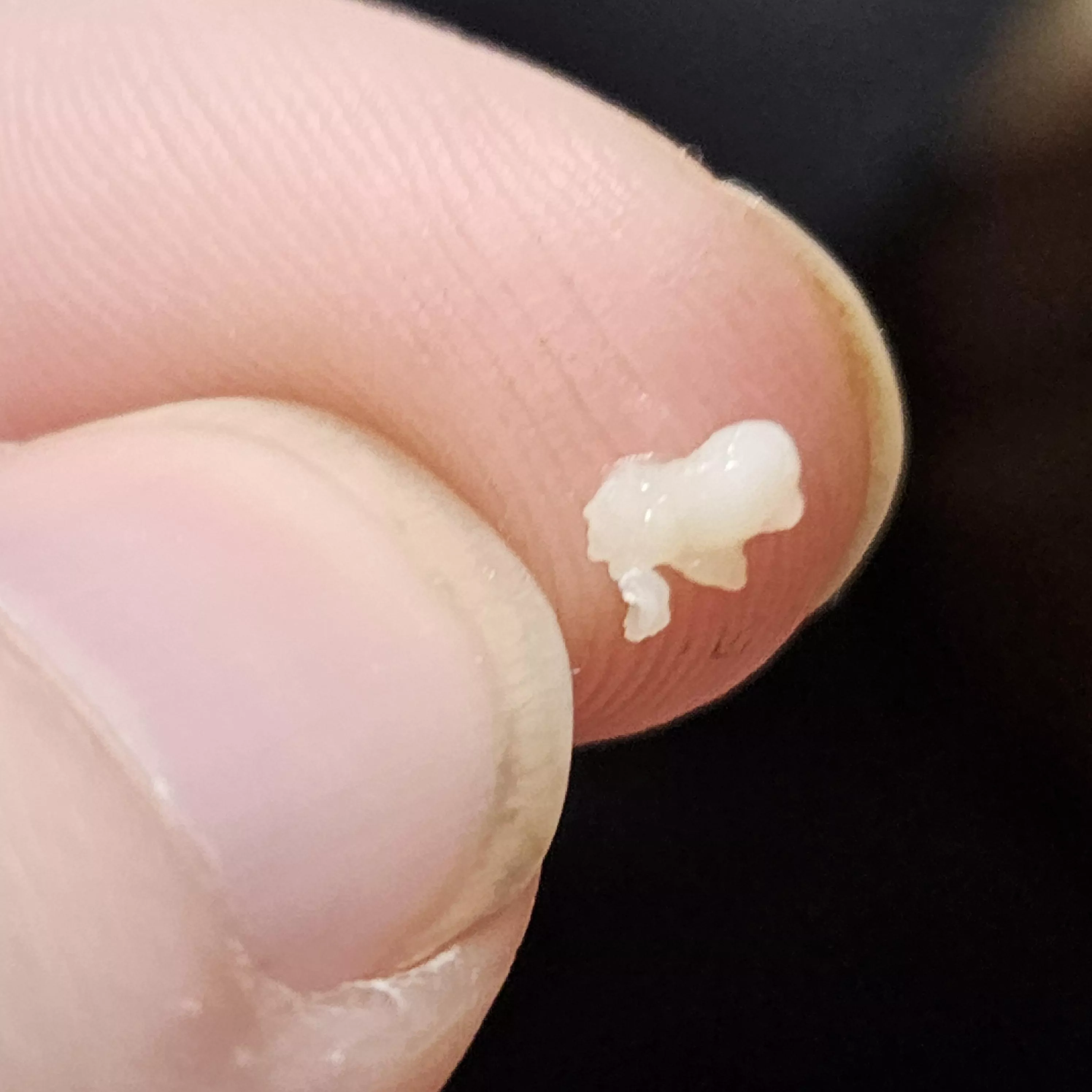 Woah mama I finally got this sucker out after several months posted by ATF_killed_my_dog