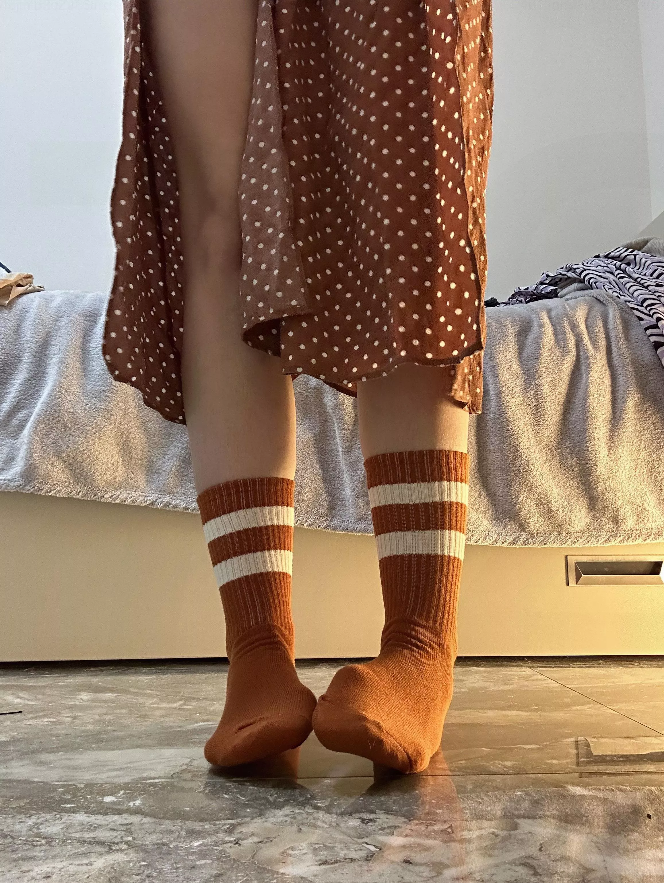 Your daily object of worship posted by aeiukn