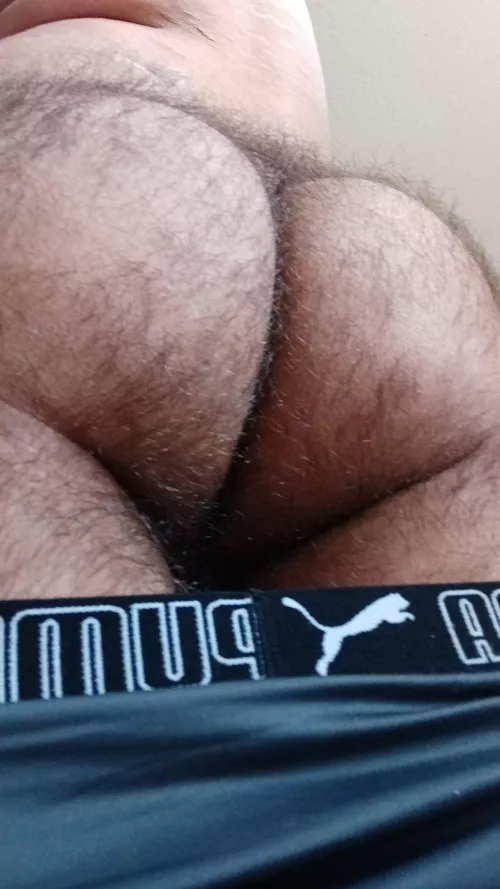 24 m Florida, what do yall think of my straight ass? by Majidude11