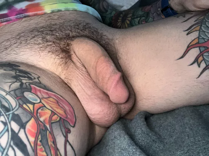 Afternoon delight by Sea_Bee_5732