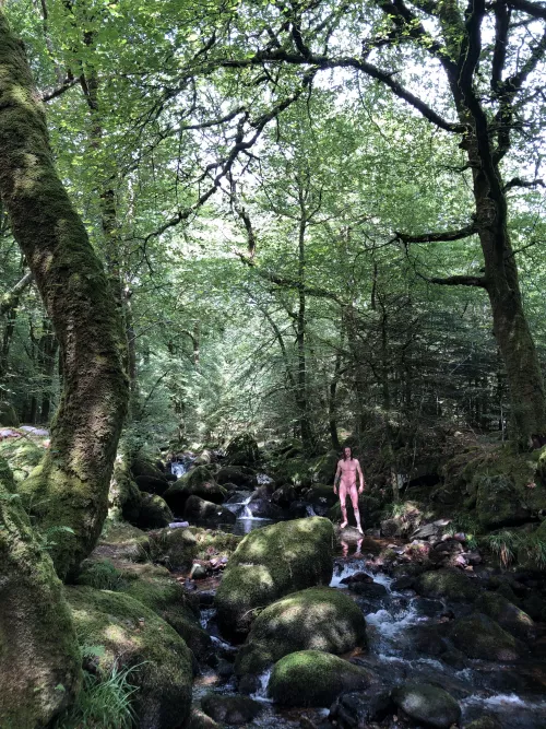 Be honest, did you Zoom? by Josh_of_the_jungle