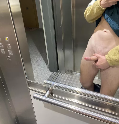 Do you wanna play elevator roulette with me? by Accomplished-Mode-35