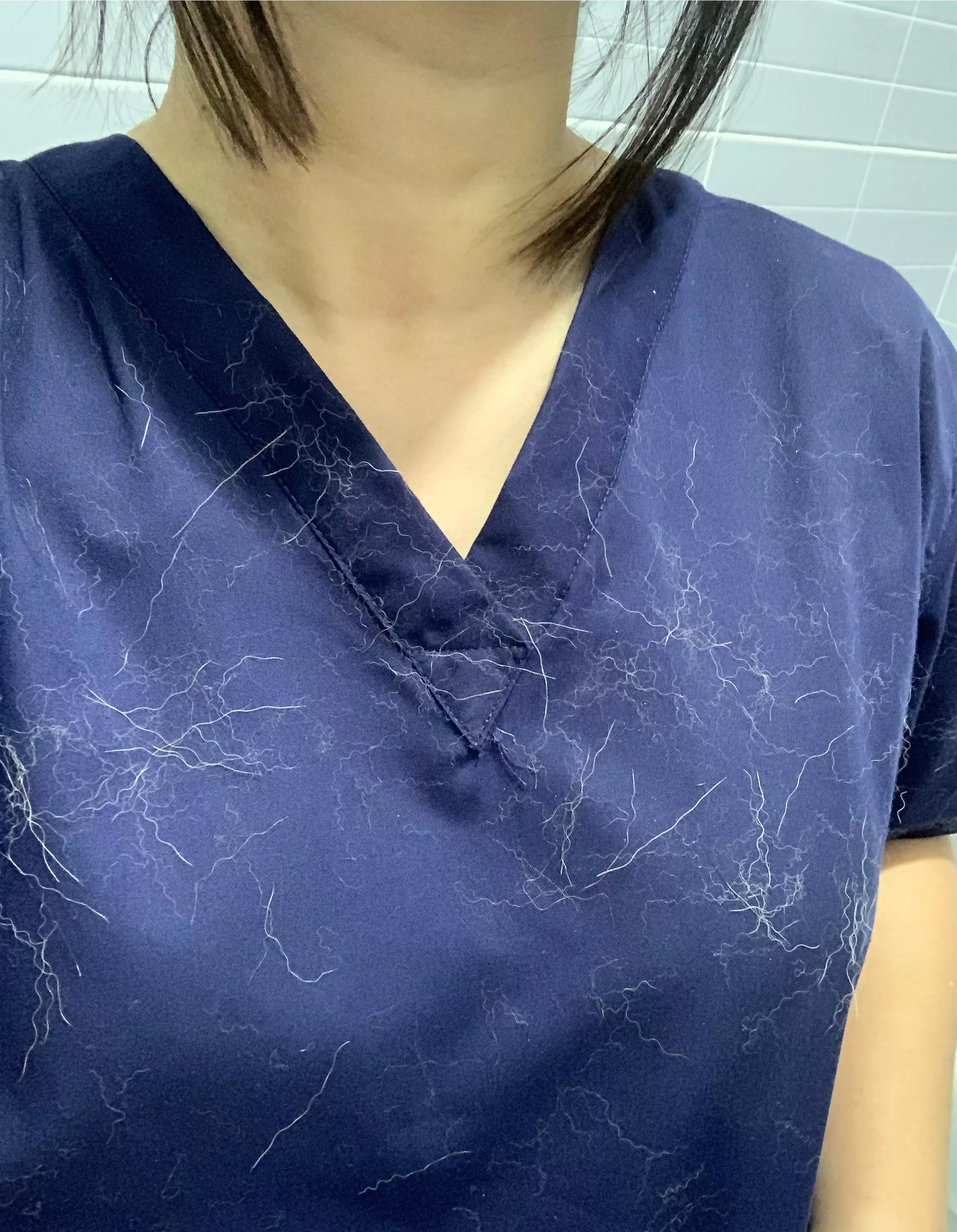 (f) eos🐶 posted by cookietootie