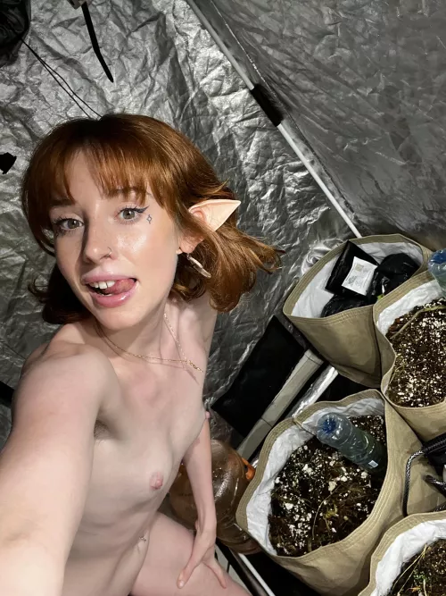 Happy redhead today  by Nippy_Hippie