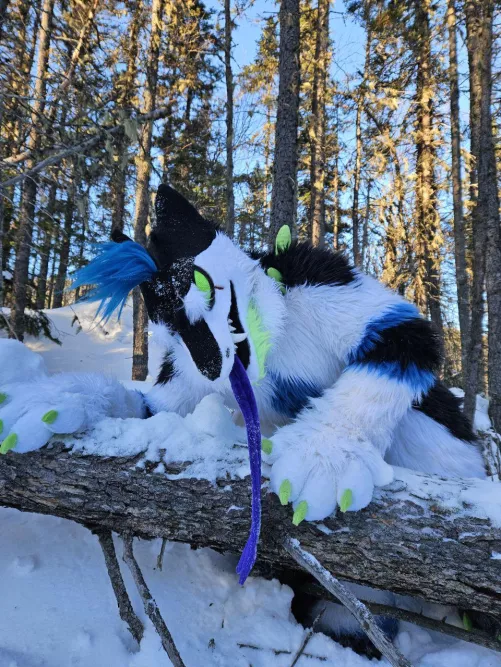 Hello There... by xXSpartan92Xx