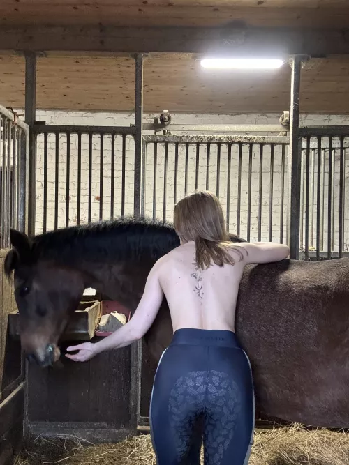 how do you like the stables by IndependentChannel48