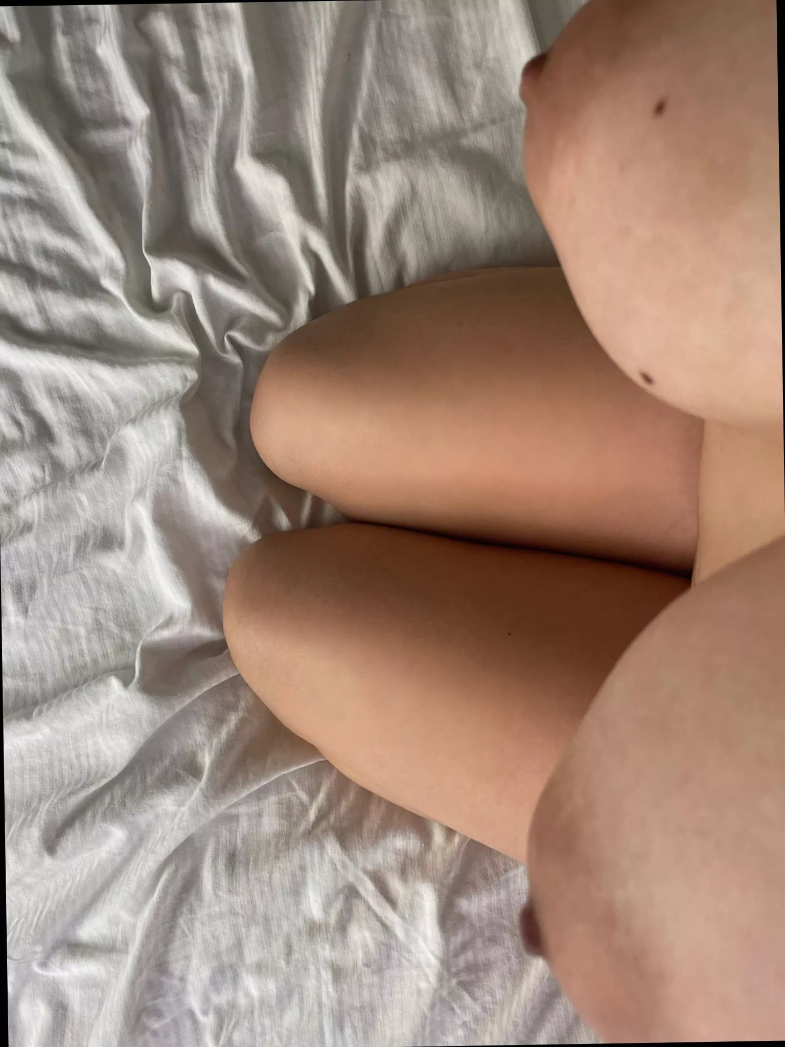 How's the view up there? posted by DollfaceF