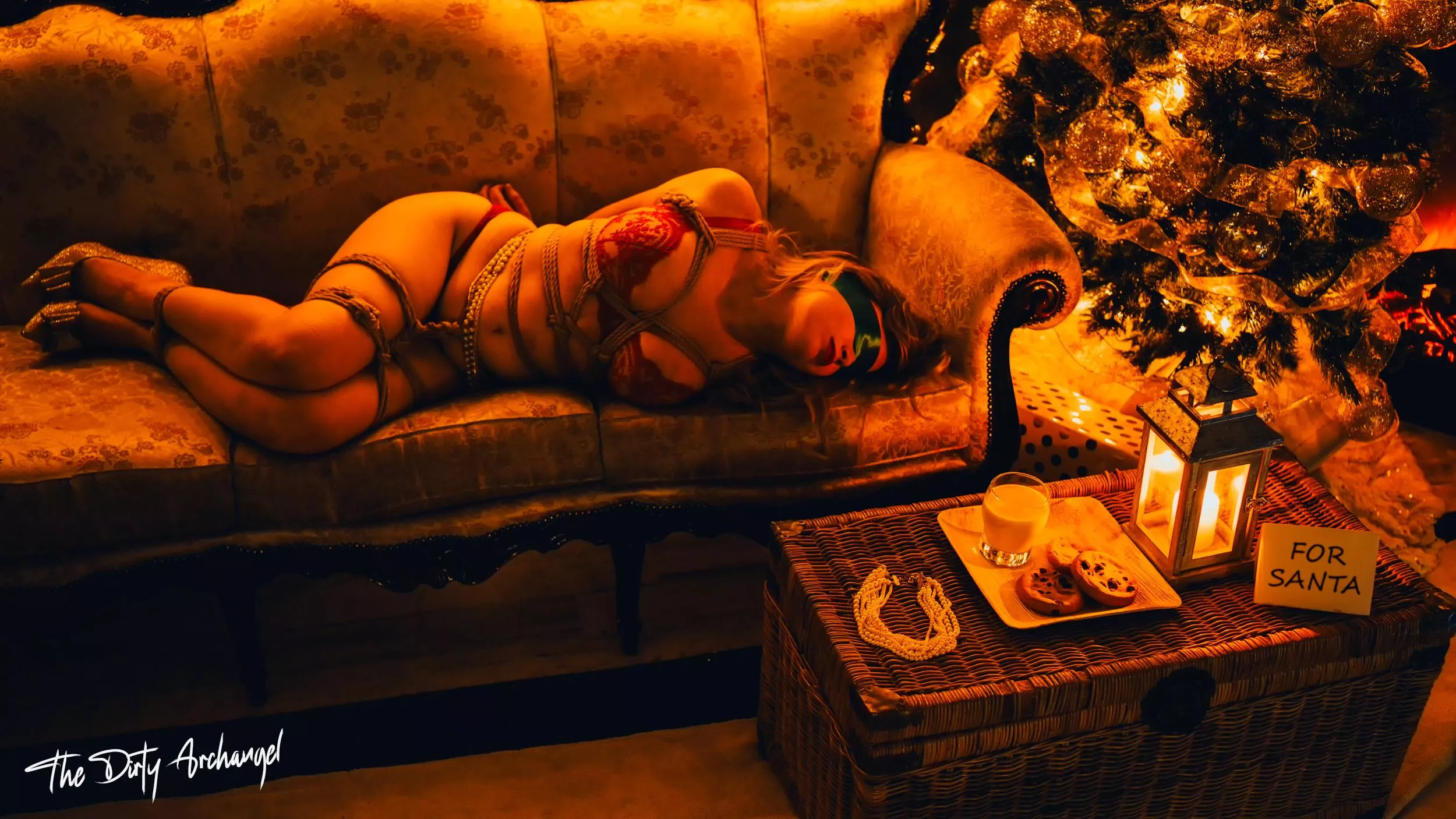 Laast Christmas, Santa had a special gift from me ;) posted by Society_No_More