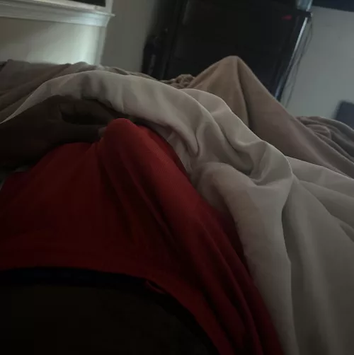 Morning wood by bigshlattyy