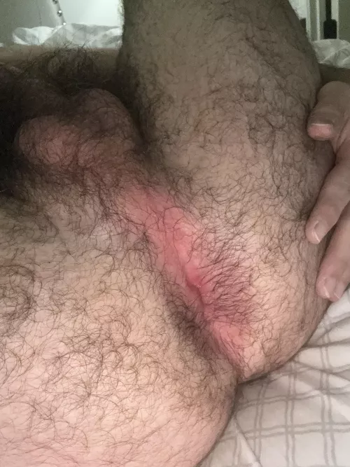 Need some one to breed my hole  by AfternoonSensitive36