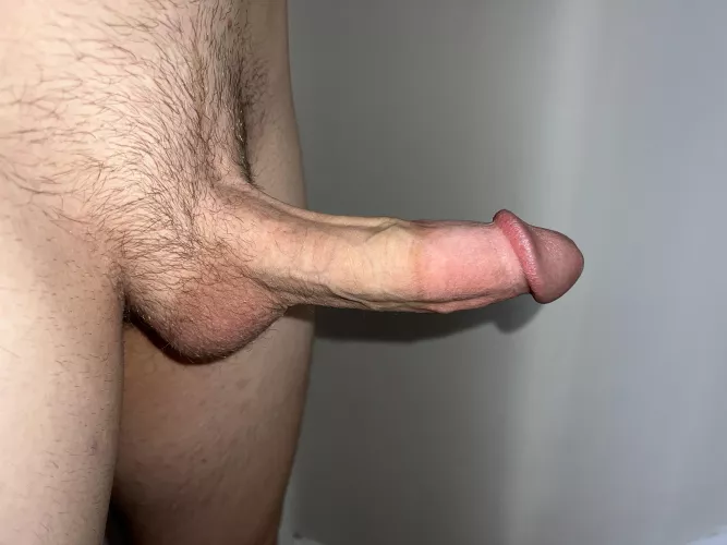 Rate this white cock im horny 🤤 by Proper_Range705