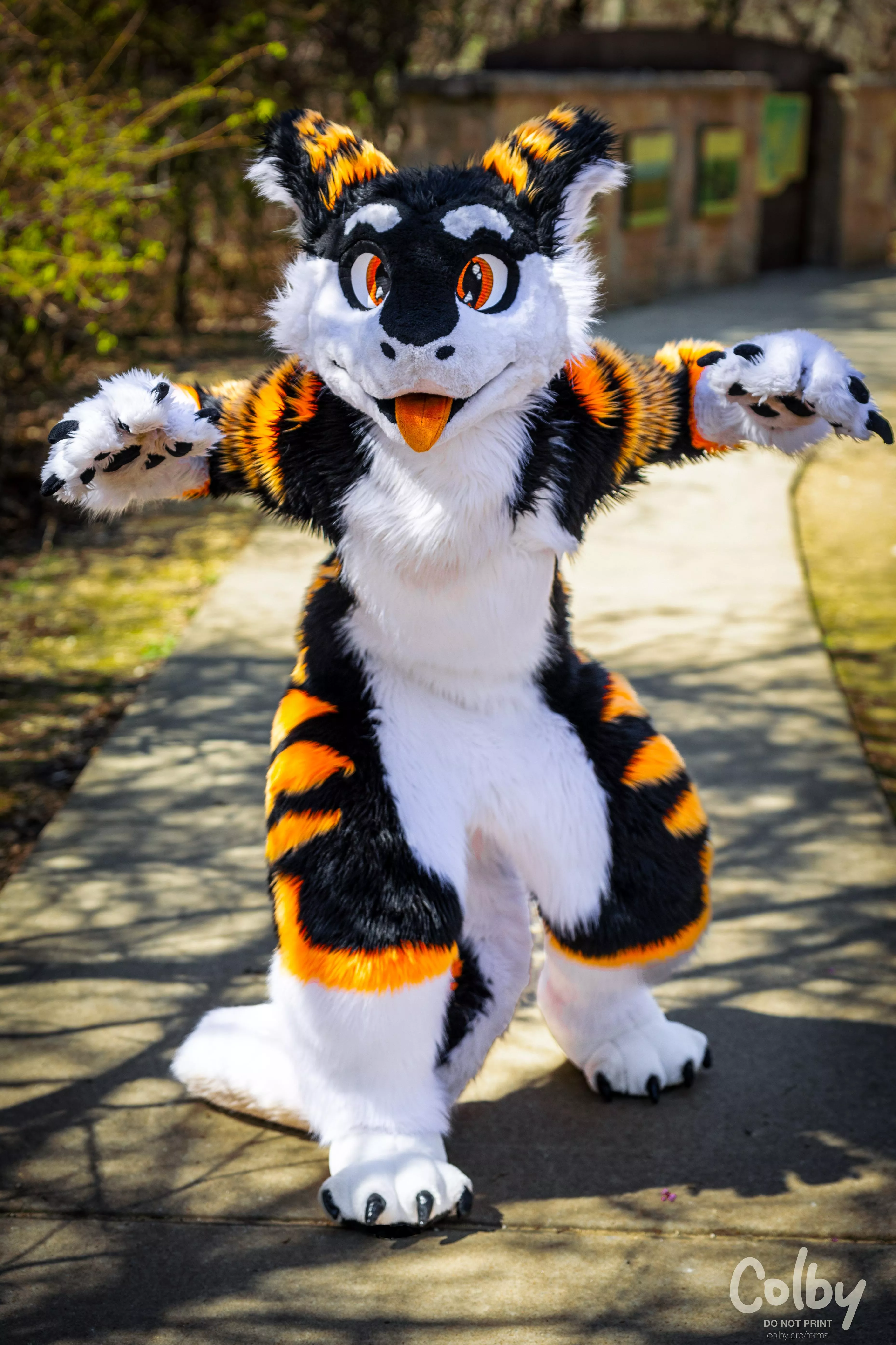 Rawwr!! :>  #FursuitFriday  posted by SilySox