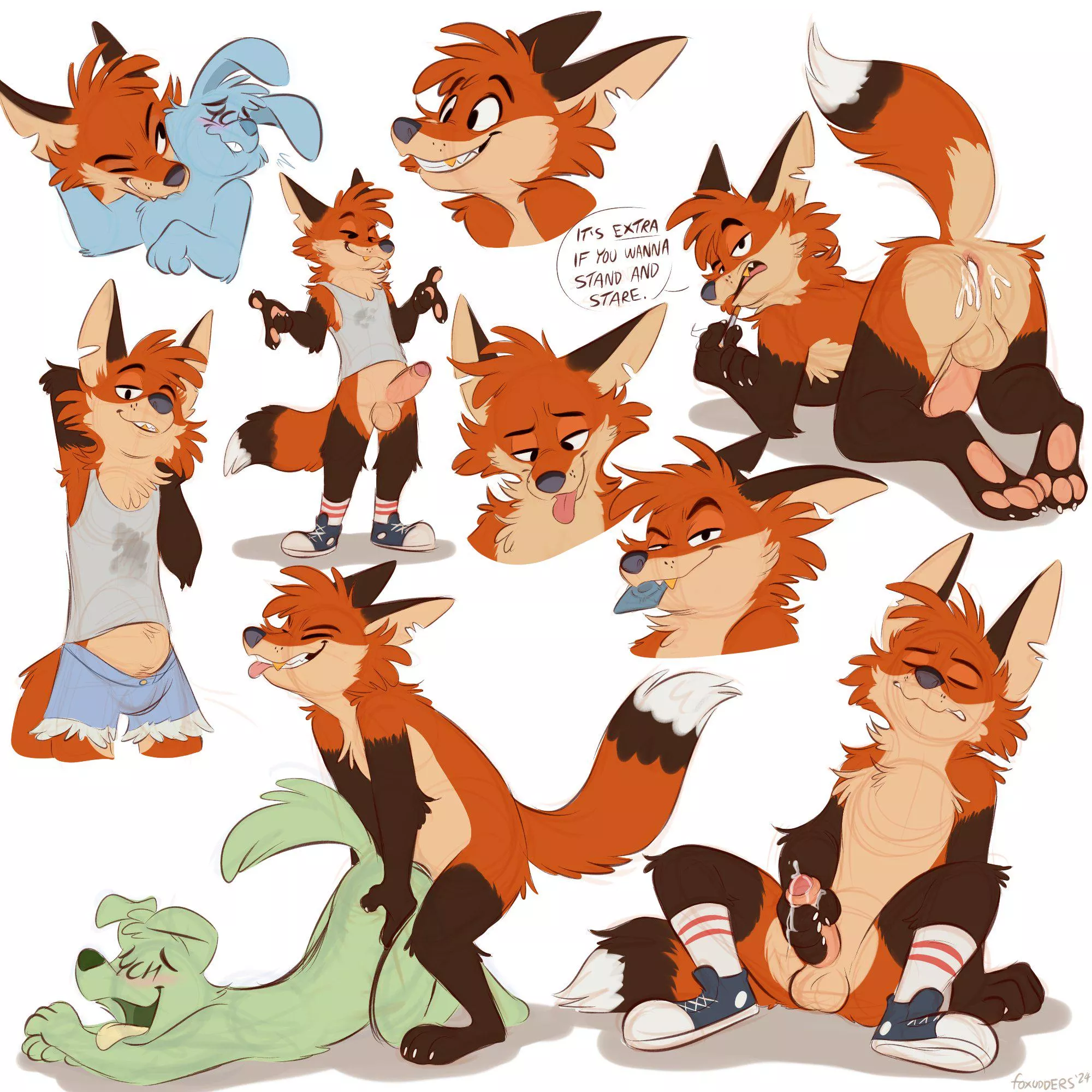 Scraggly Fellow (foxudders) posted by DL2828