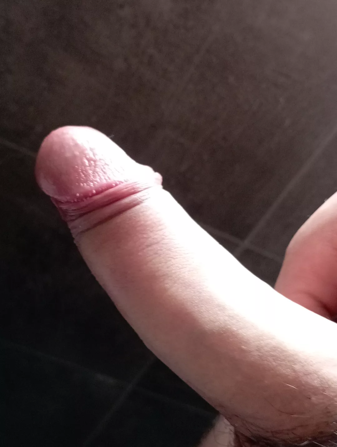 Suck me dry bby🤭 posted by il_Rossetti