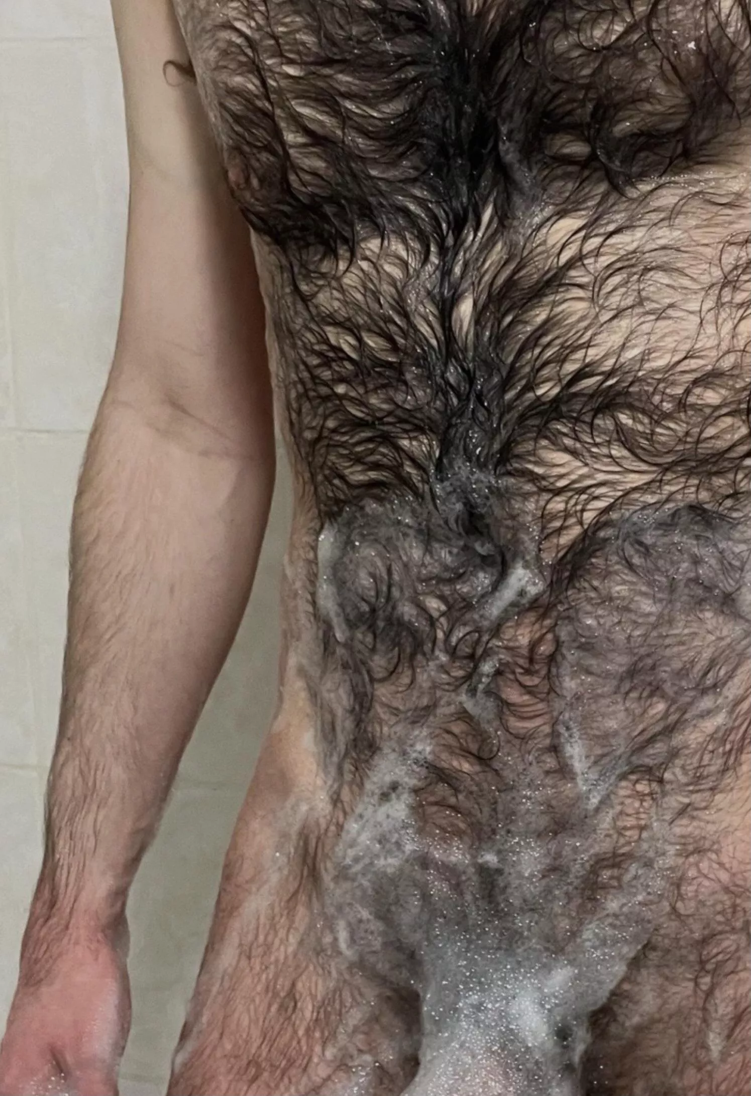 Too hairy when wet?  posted by ChicagoRob19