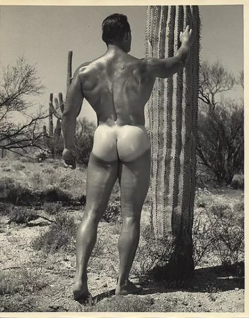 Vintage buns for your delectation by UC_Mandate_65