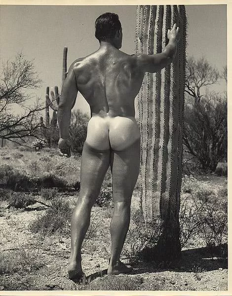 Vintage buns for your delectation posted by UC_Mandate_65