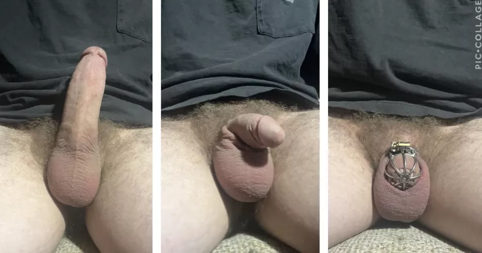 Well, which one are you taking? Hard soft or caged? by Working_Long2129