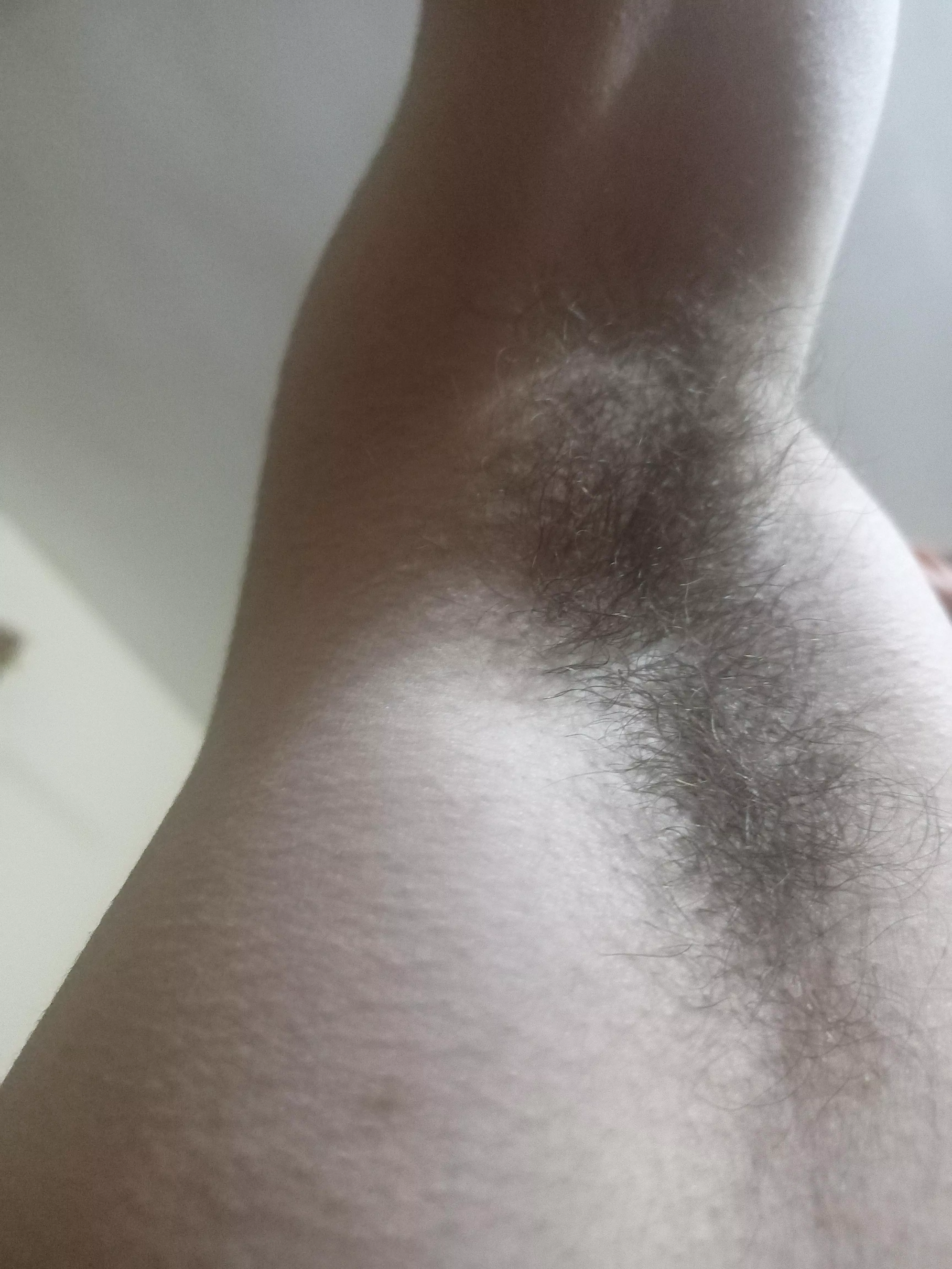 what do you think of my hairy pits?  posted by ExaminationSevere628