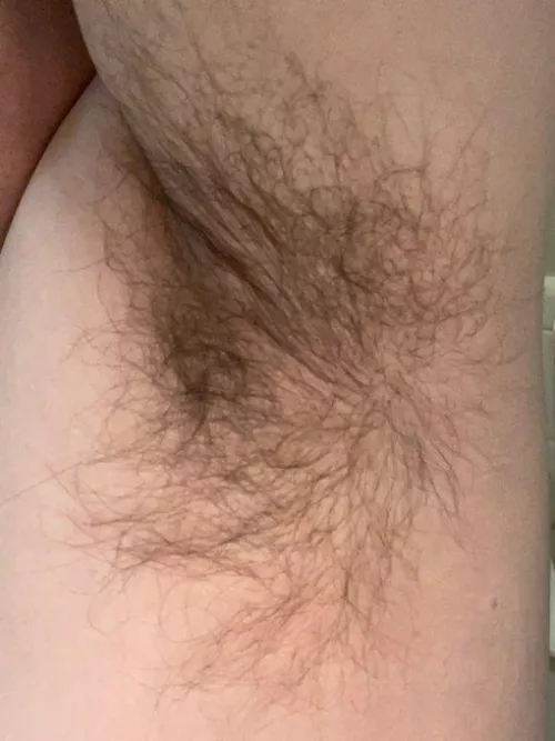 Who wants to check out my pits and see if they are clean enough? by undiefan_78