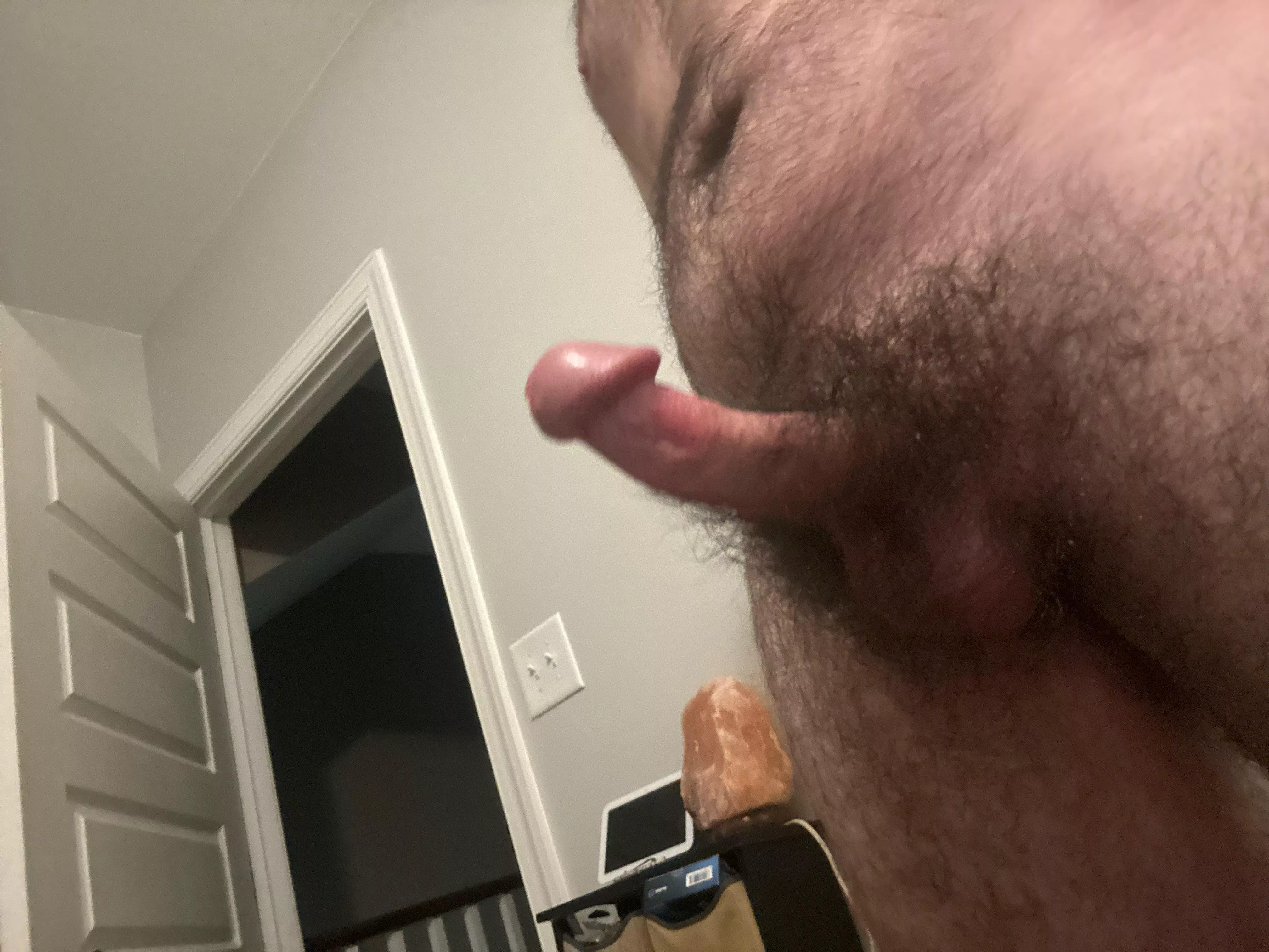 Would you bury your face in my bush  posted by AfternoonSensitive36