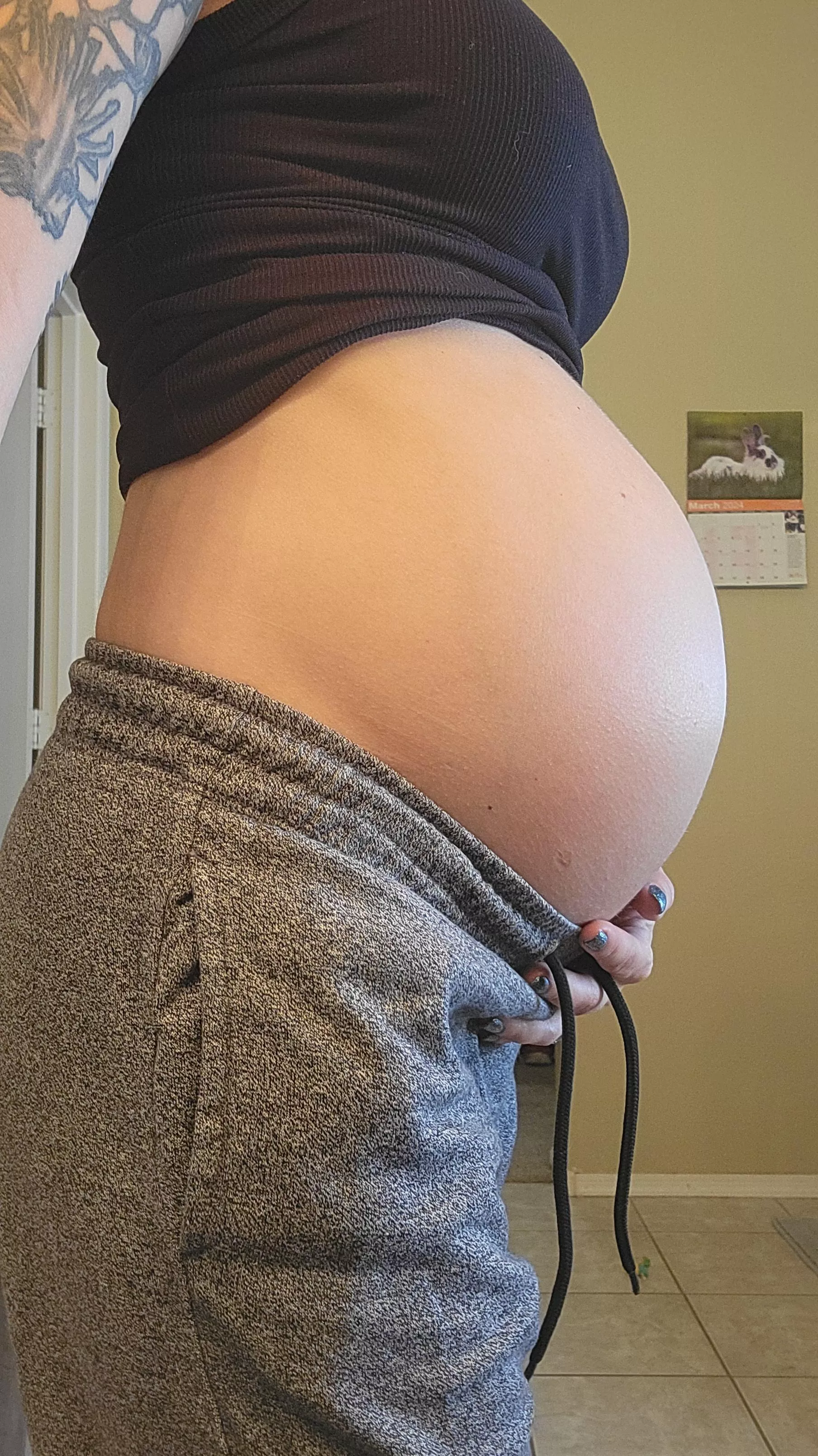 Belly is getting nice and round, who is covering it in a cream pie 👀 posted by Ok_Shoulder_4748