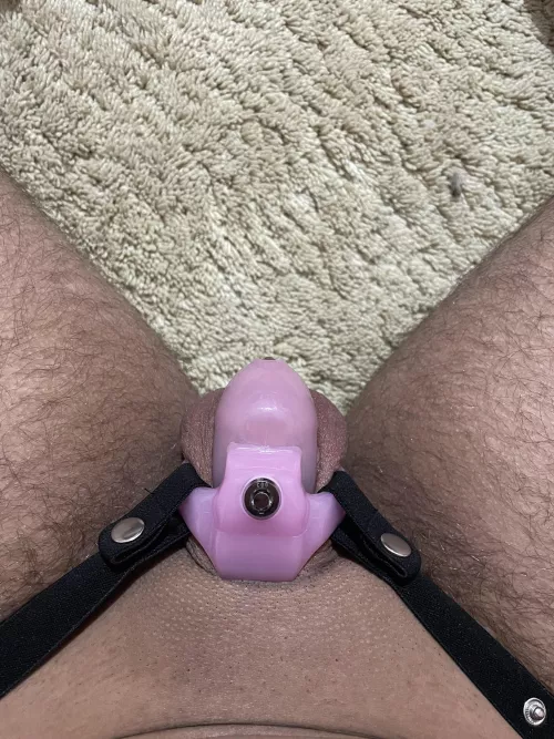 Did I do this right? by Dramatic_Complex5187