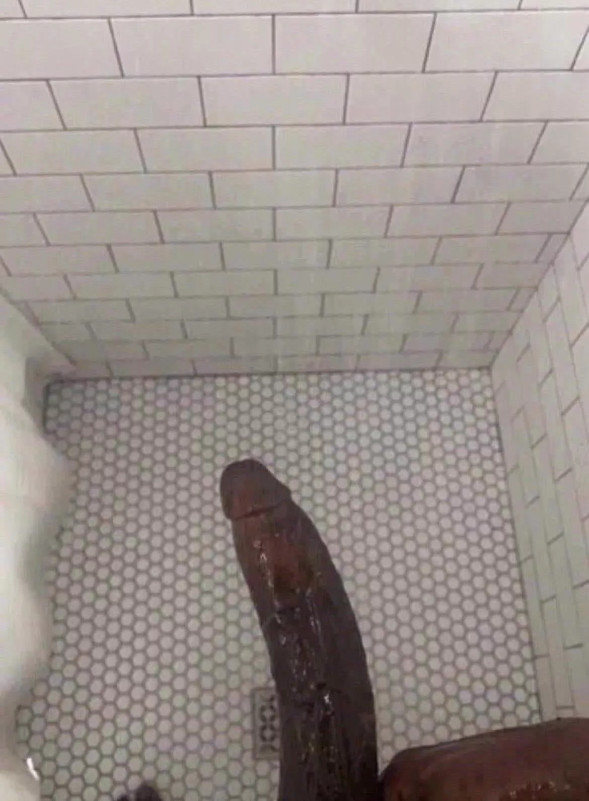 Horny as fuck😩hung or fem pm your snap  posted by Live_Collection9252