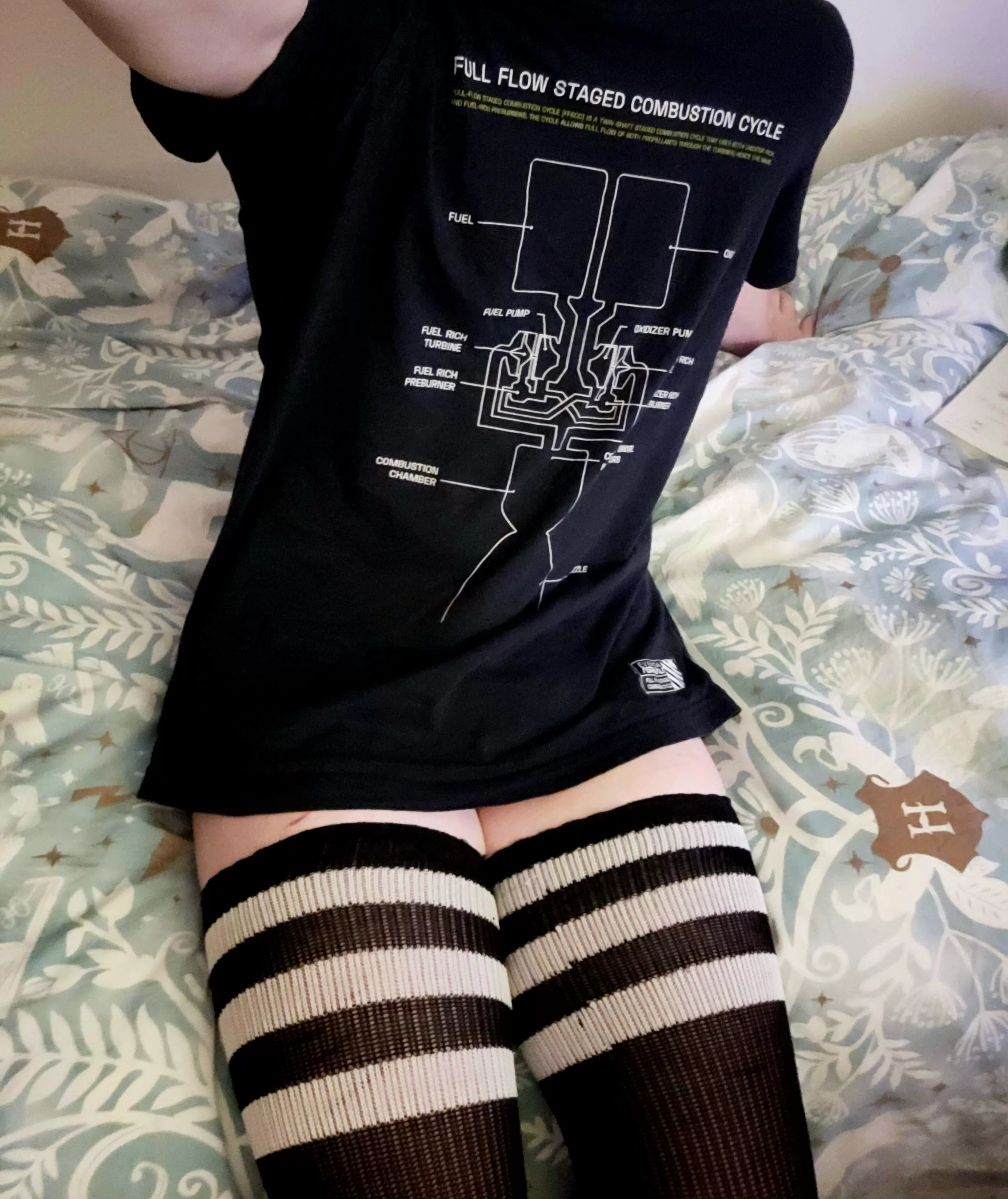 I hope you guys like squishy thighs :3 posted by OneSchmeanBean