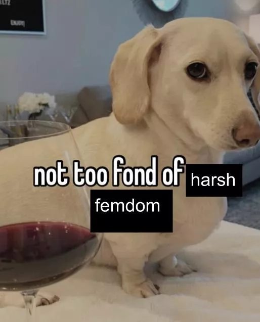 I'm not too fond of it by myweirdsubaccount
