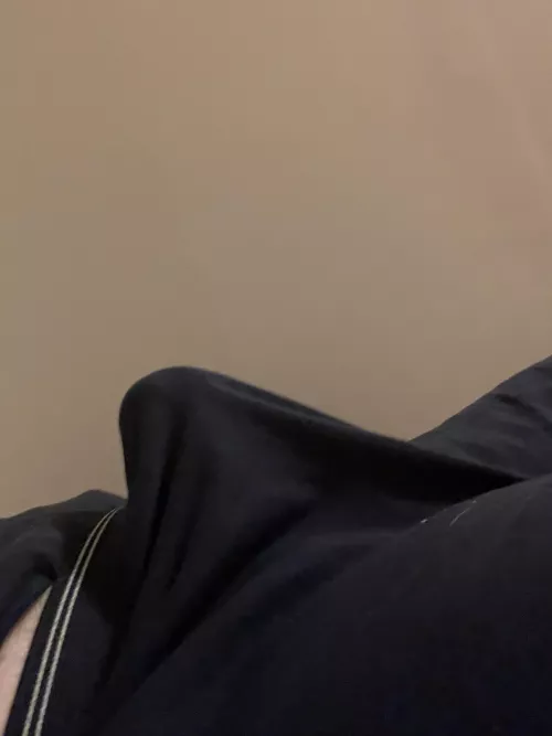 It wants to be freed by Apprehensive_Meat672