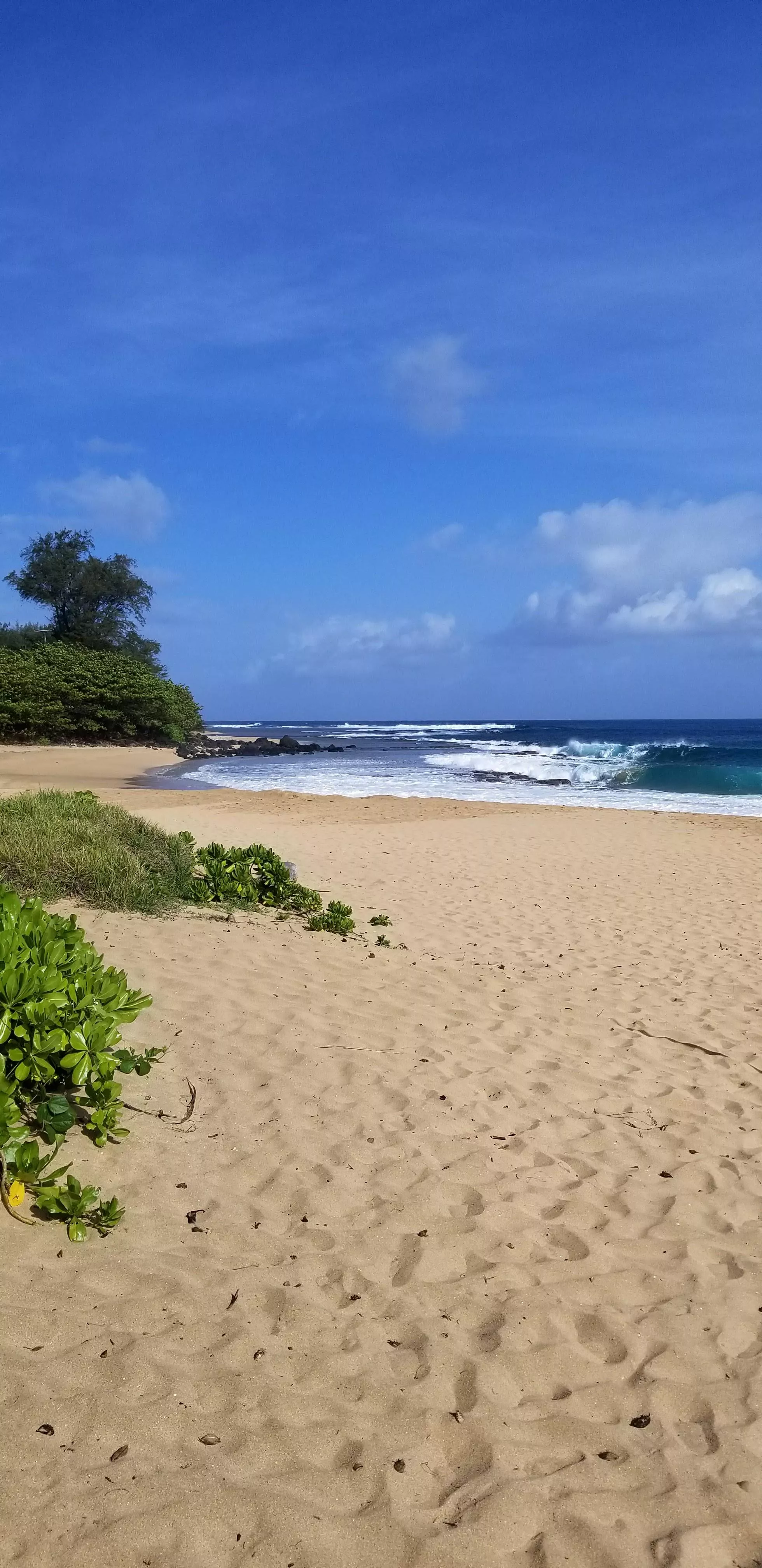 Kauai posted by Ok_Membership2016