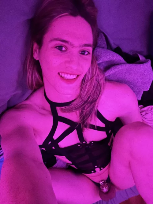 Locked and loaded  by Quinnifir2