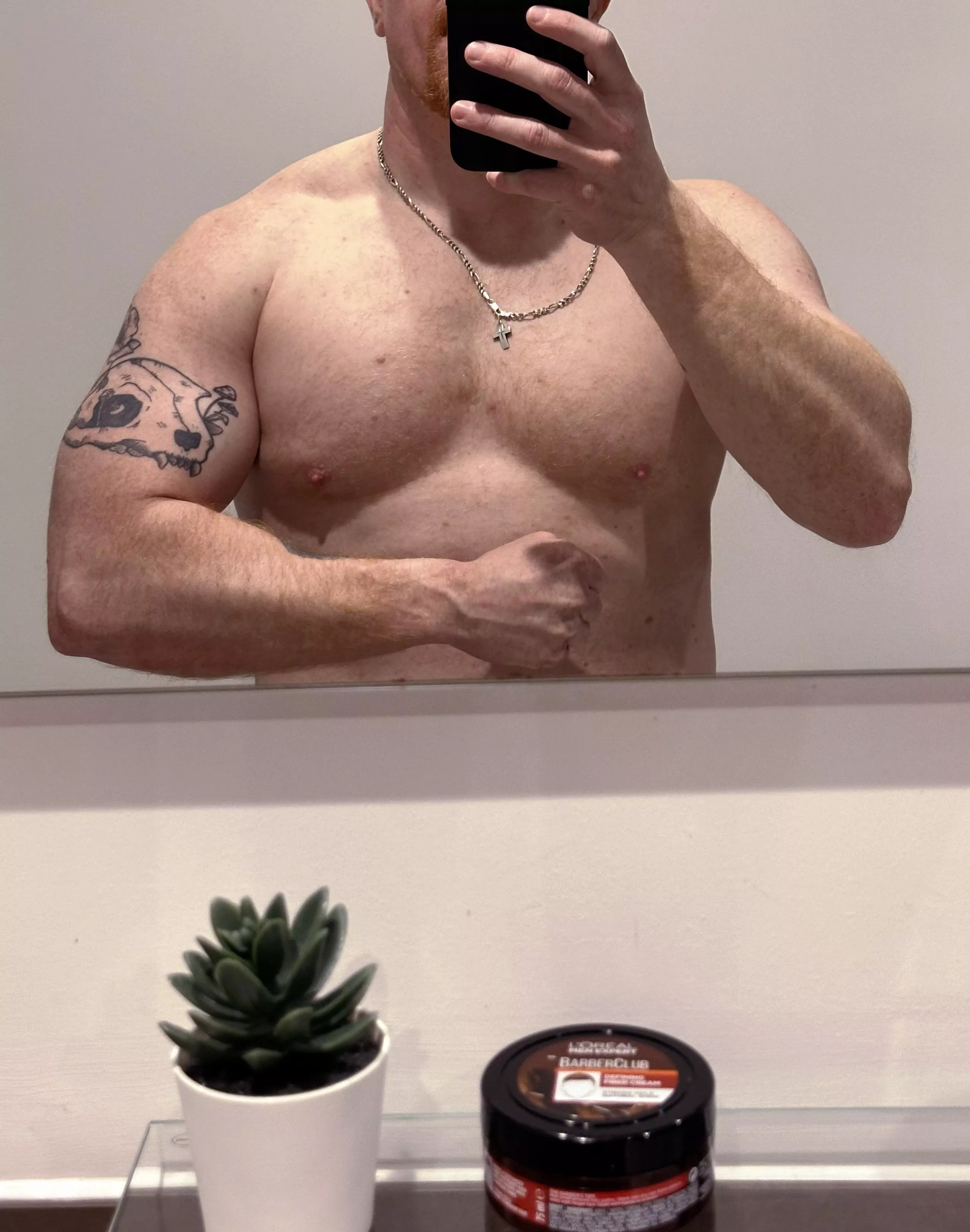 Meet my friend, Frank, the fake plant 😃 posted by _TtTToriginal_