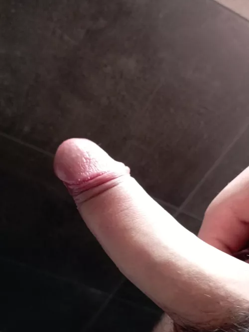 Need someone to suck this so bad😫(18) by il_Rossetti