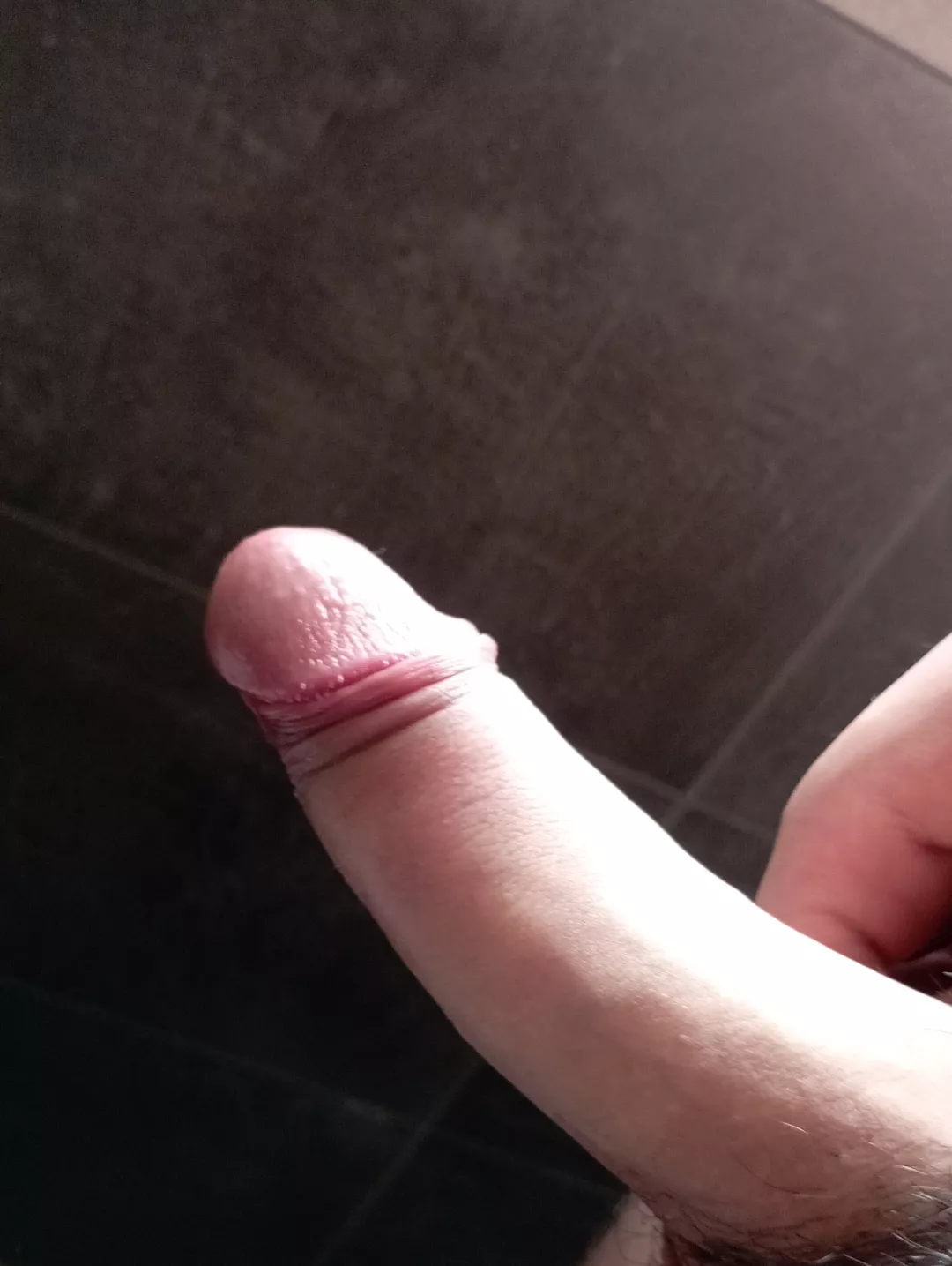 Need someone to suck this so bad😫(18) posted by il_Rossetti