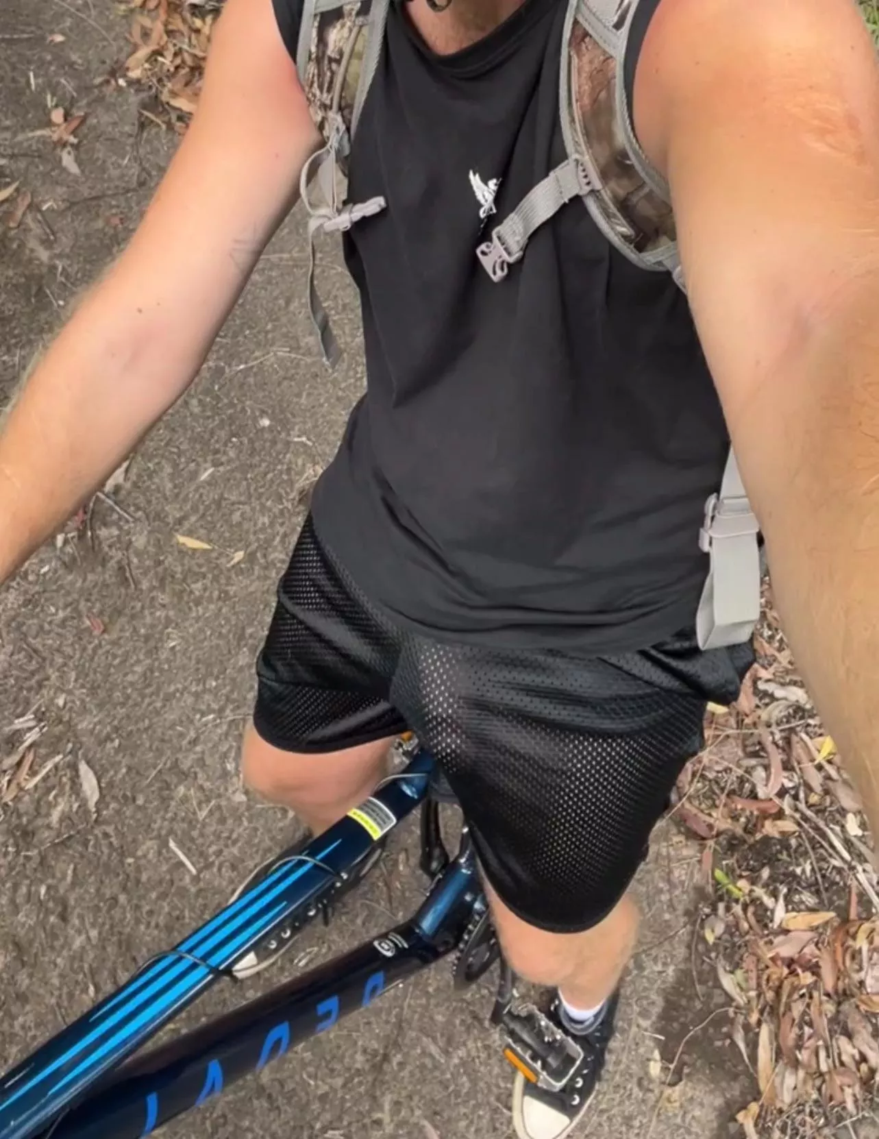 Out for a ride  posted by Windytrees420